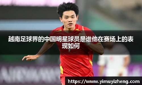 越南足球界的中国明星球员是谁他在赛场上的表现如何
