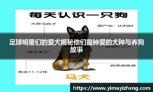 足球明星们的爱犬揭秘他们最钟爱的犬种与养狗故事